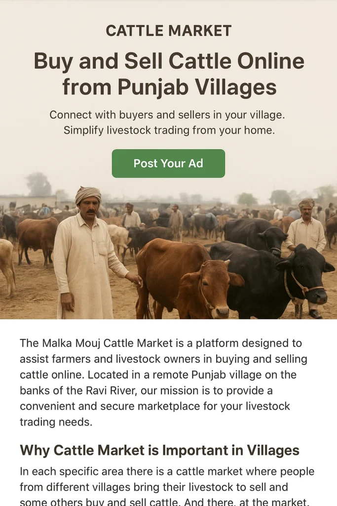cow market with cattle market